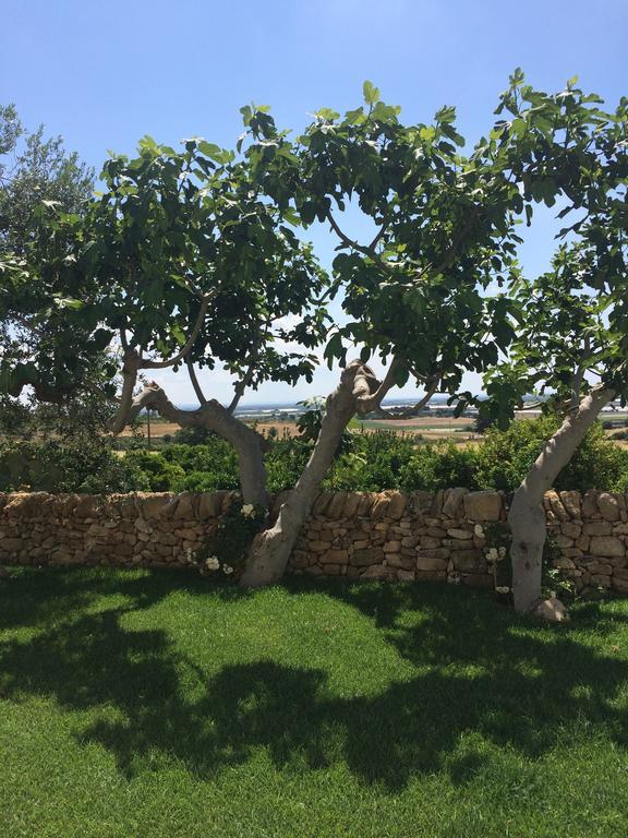 فيلا Trullo Del Cavaliere Delle Gravine كاستلانيتا المظهر الخارجي الصورة